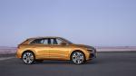 Audi Q8 50 TDI Quattro S-Line 2018 года (WW)
